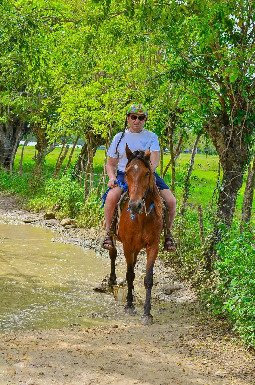 Horseback riding - photo 12