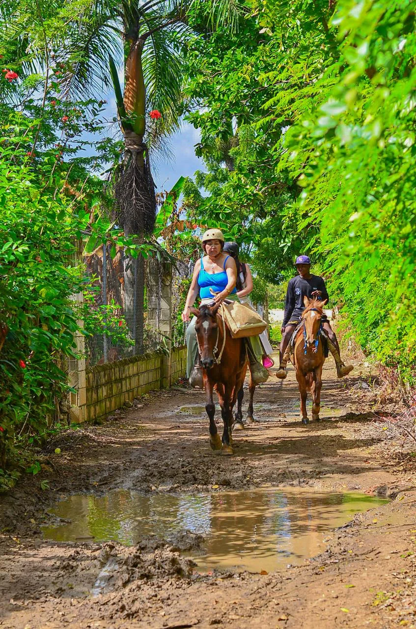Horseback riding - photo 4