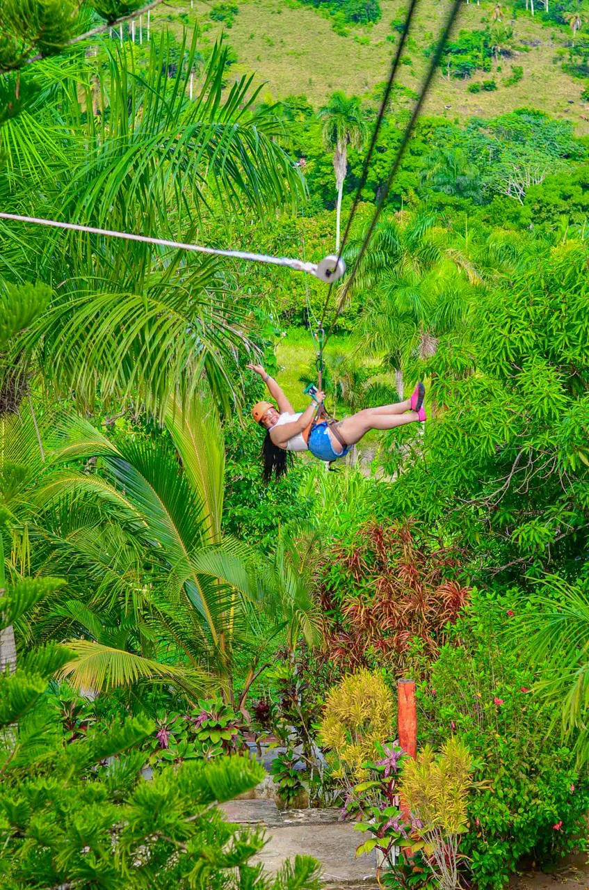 Zipline - photo 1