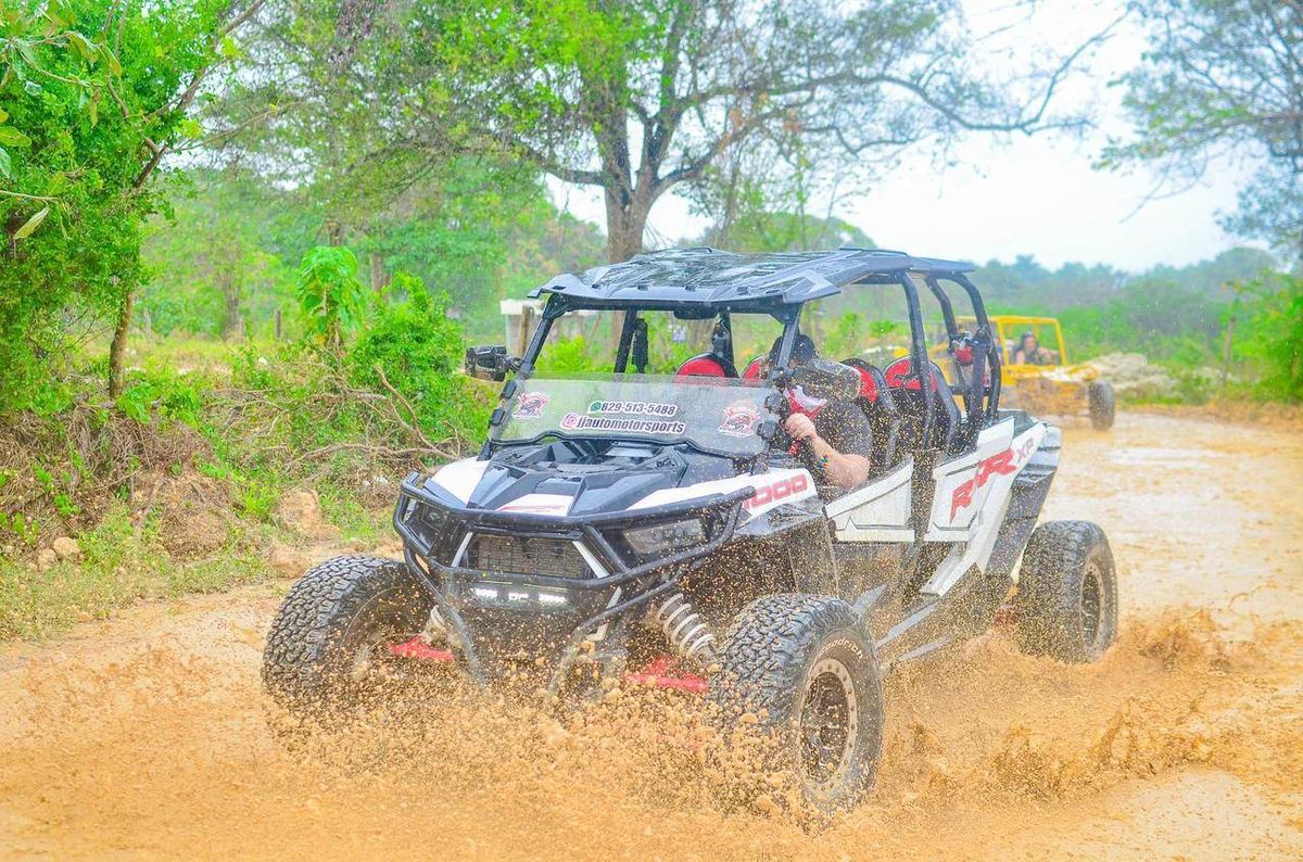 Buggy Polaris